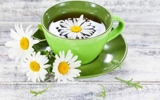 Chăm Sóc Da Trúc Xanh - Cách Mạng Tháng 8