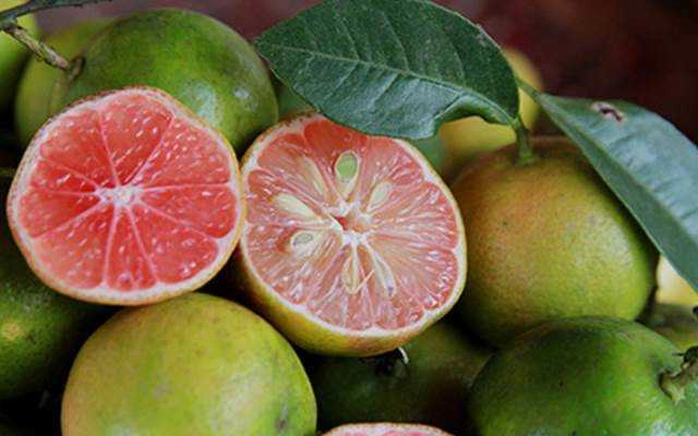 Chanh Đào Hòa Bình - Hàn Mặc Tử - Shop Online