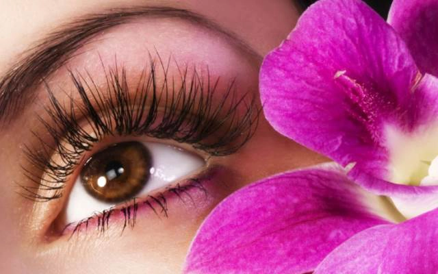 Chau Lash Land - Trung Tâm Đào Tạo Nối Mi