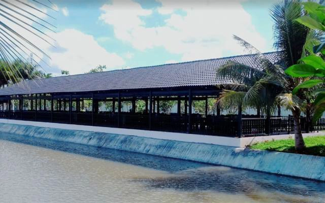Chín Rồng - Khu Du Lịch Sinh Thái