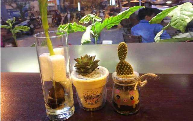 Chouchi Coffee
