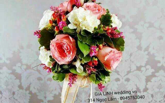 Chụp hình cưới Gia Linh Weddingvn - Ngọc Lâm