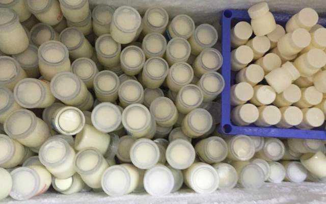 Cô Phượng - Sữa Chua Sạch & Ăn Vặt