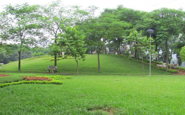 Công Viên Điểu Ong