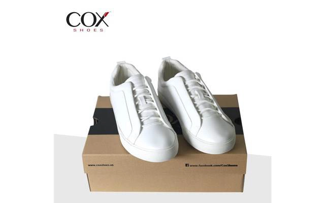 Cox Shoes - Lý Quốc Sư Hà Nội