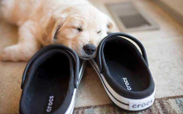 Crocs Viet Nam - Parkson Hùng Vương