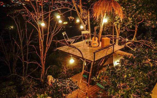 Cú Trên Cây Homestay