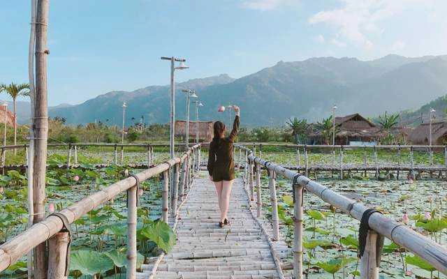 Đảm Tràm Chim