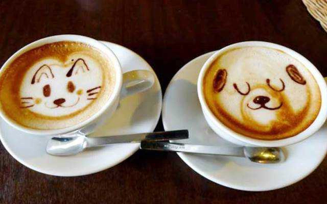 Dây Leo Xanh Coffee