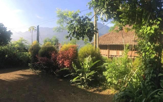 Duy Phường Homestay
