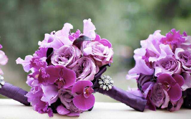 FloraVina