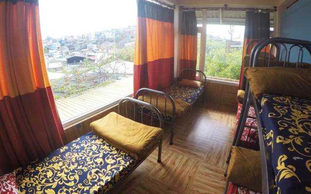 Freedumb Hostel