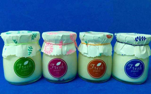 Fresh Yogurt Homemade - Shop Online