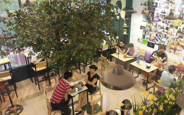 Gemini Coffee - Nguyễn Chí Thanh