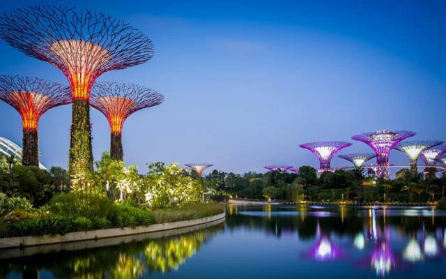 Golden Saigon Travel - Dịch Vụ Du Lịch
