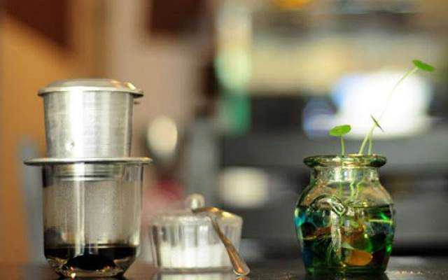 Hạ Trắng Cafe