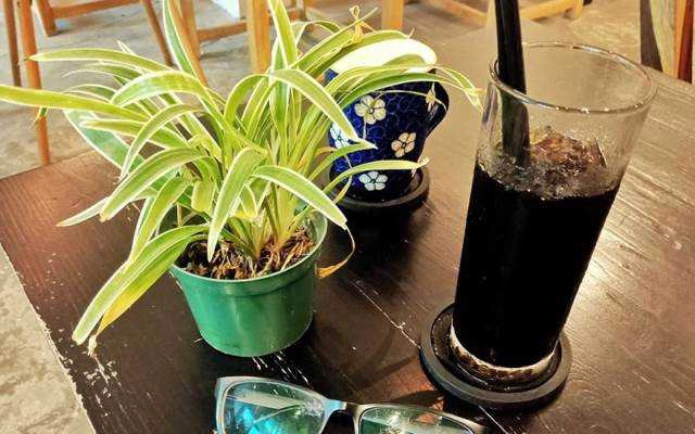 HD Gia Lai Coffee - Nguyễn Viết Xuân