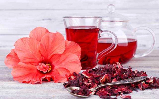 Hoa Bụp Giấm Tươi – Trà Hibiscus - Shop Online