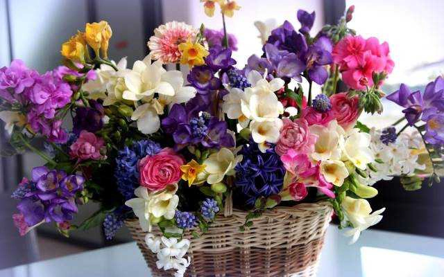 Hoa cưới, shop hoa Florist Saigon - Shop Hoa Online