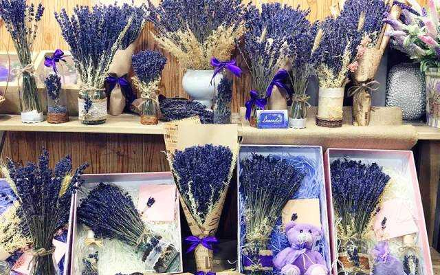 Hoa cưới, shop hoa Hoa Oải Hương Lavender