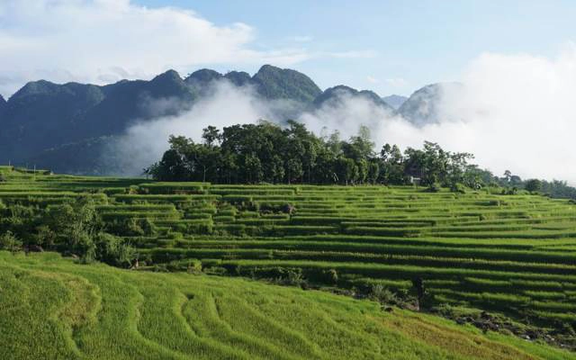Hoanh Homestay - Pù Luông