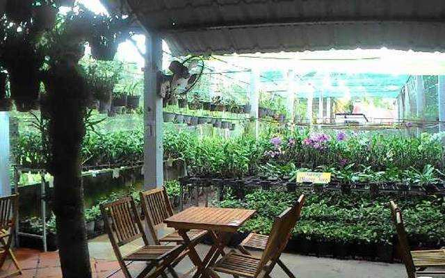 Hội Quán Phong Lan - Cafe Sách Phương Tùng - Tỉnh Lộ 884