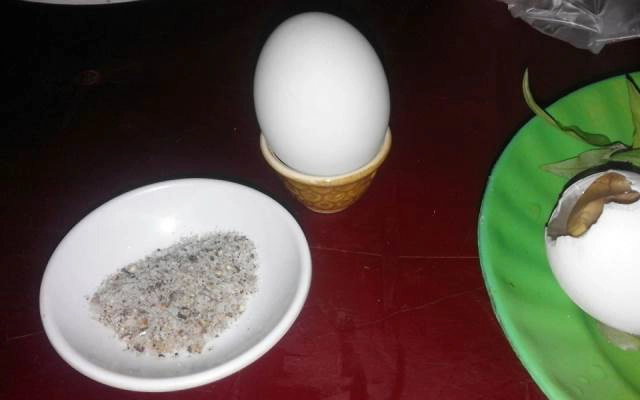 Quán Ăn Hủ Tiếu & Hột Vịt Lộn
