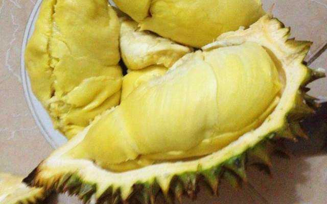 Hương Giang - Sầu Riêng Rụng - Shop Online