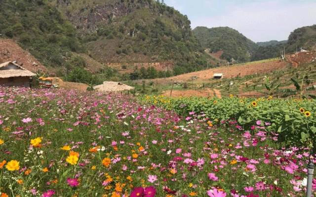 KDL Mộc Châu Happy Land