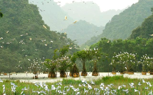 Khu Bảo Tồn Thiên Nhiên Vân Long