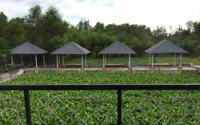 Khu Du Lịch Hoa Lúa