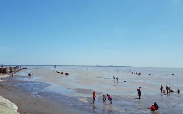 Khu Du Lịch Sinh Thái Biển Cồn Cống