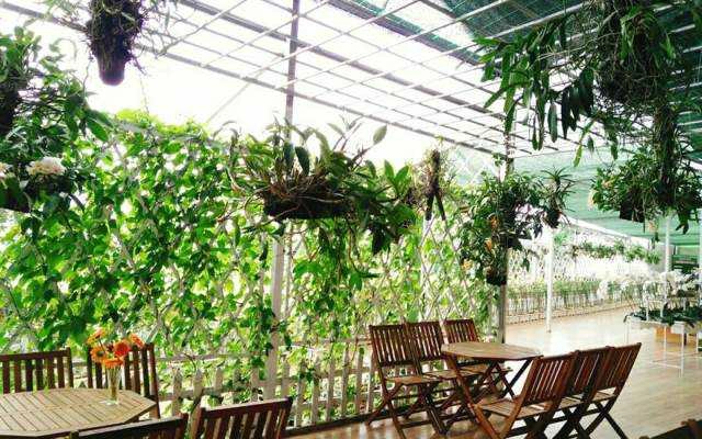 Khu Du Lịch Trang Trại Rau & Hoa