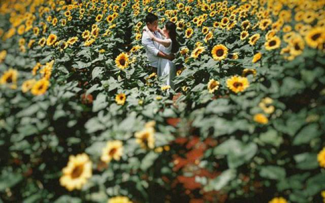 Kim Ơi Wedding & Events - Đường Số 3
