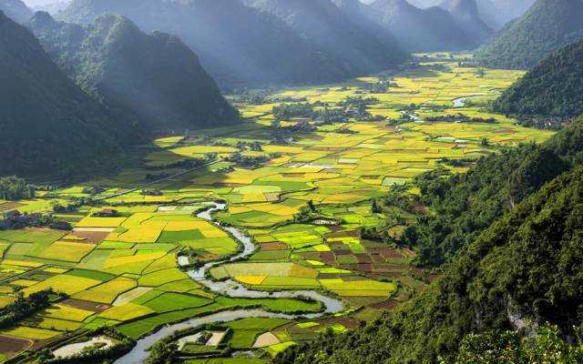 Lữ Hành Việt - Chi Nhánh Trần Vĩ