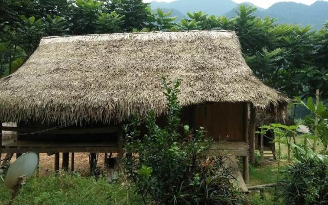 Lý Vân Homestay