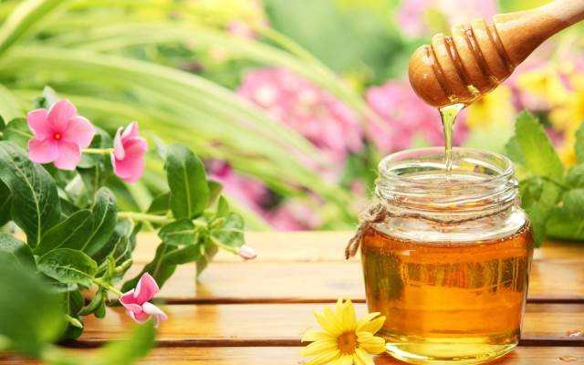 Manuka Honey Shop - Shop Online
