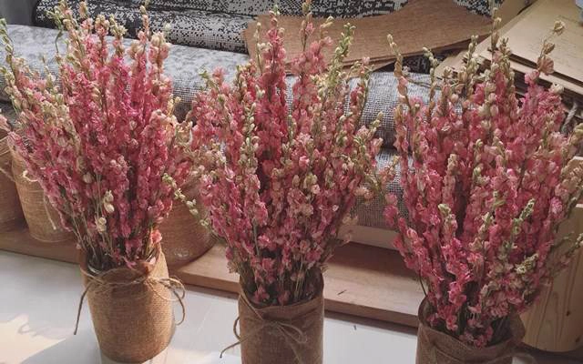 MAX Flower - Hà Nội