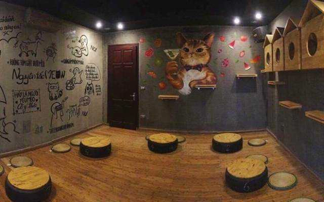 Meow Coffee - Tây Sơn
