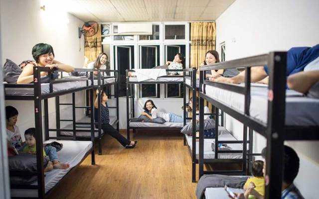 Meow Hostel