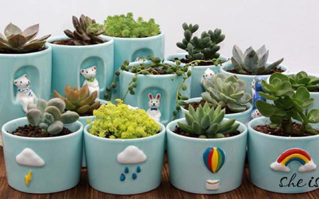 Mini Green Shop