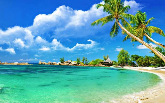 MTV Travel