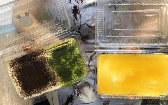 Namachoco Lyly - Dessert And Drinks - Shop Online