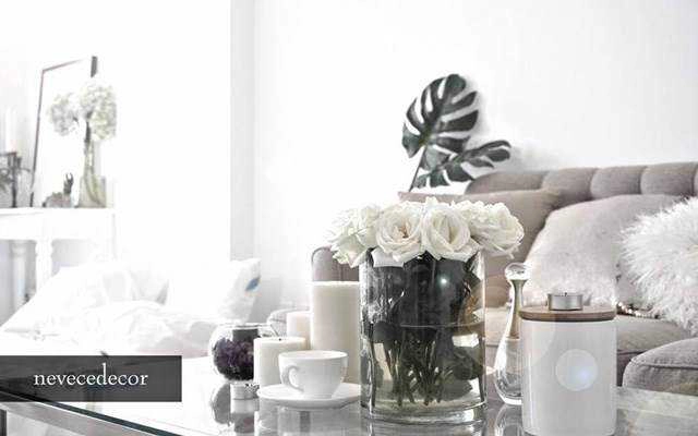 Nevece Decor