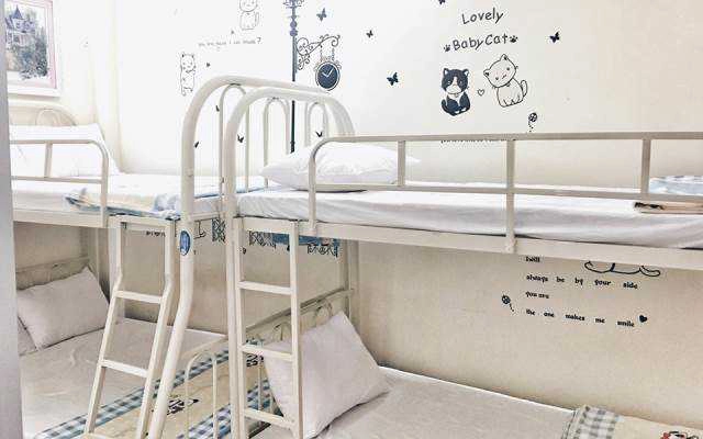 New Dragon Hostel