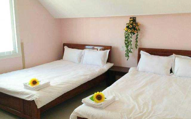 Nguyên Minh Hostel - Hải Thượng