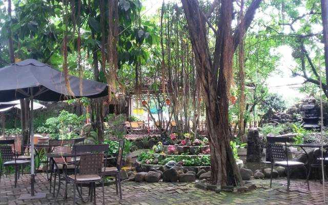 Nguyên Sơ Cafe