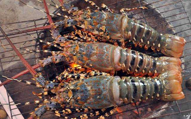 Nhà Hàng Bờ Kè Lobster - Nguyễn Đình Chiểu
