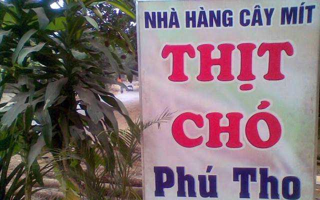 Nhà Hàng Cây Mít - Thịt Chó Phú Thọ