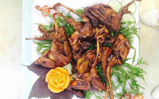 Nhà Hàng Hoa Phượng - Đặc Sản Rừng & Biển